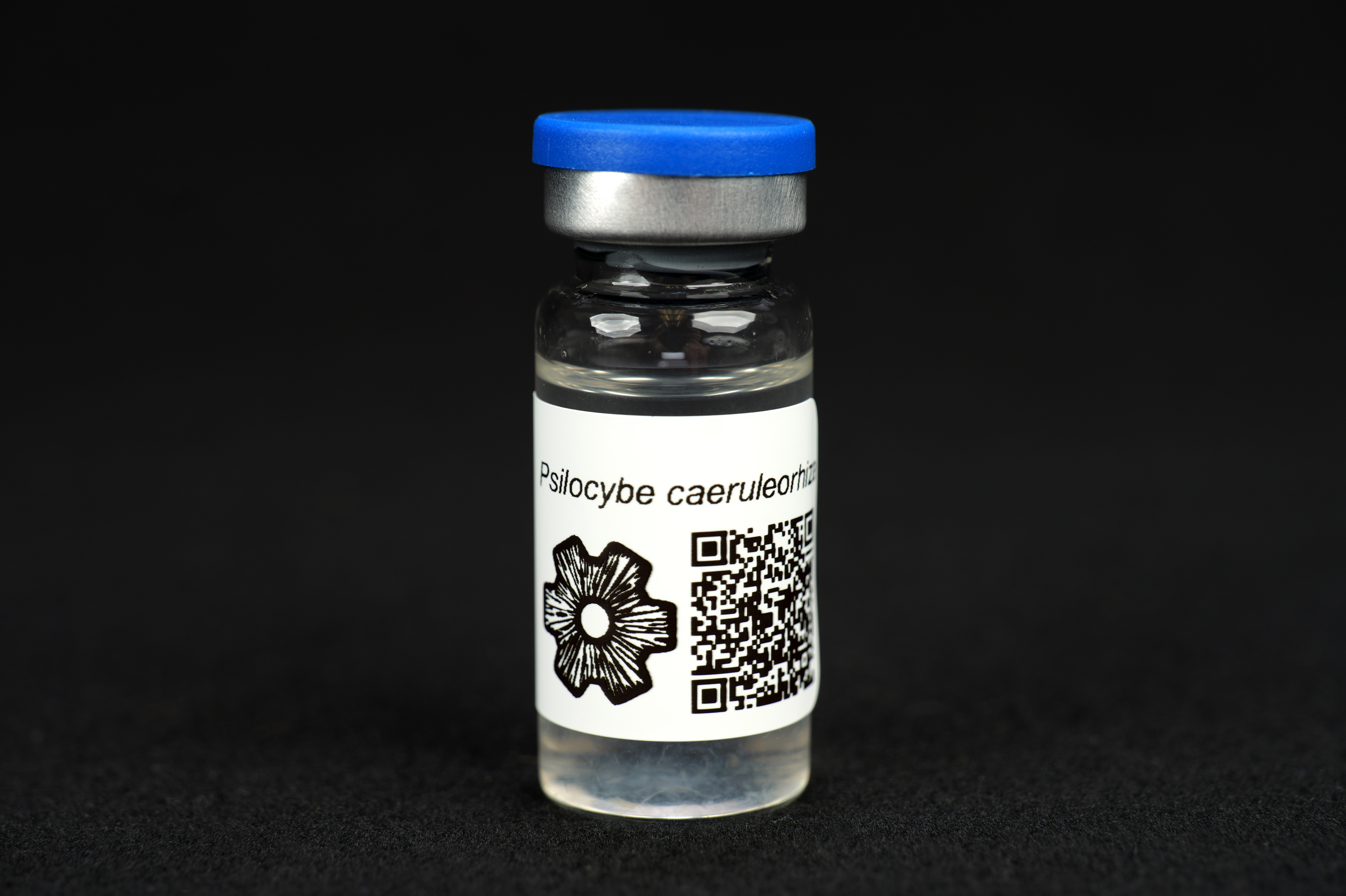 Psilocybe caeruleorhiza : MycoTrue(TM) Isolate Vial